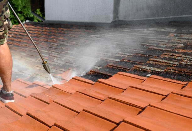 Best Roof Power Washing Services  in Oceanside, NY